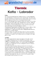 Katta - Labrador.pdf